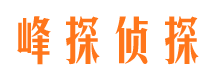 礼县市场调查